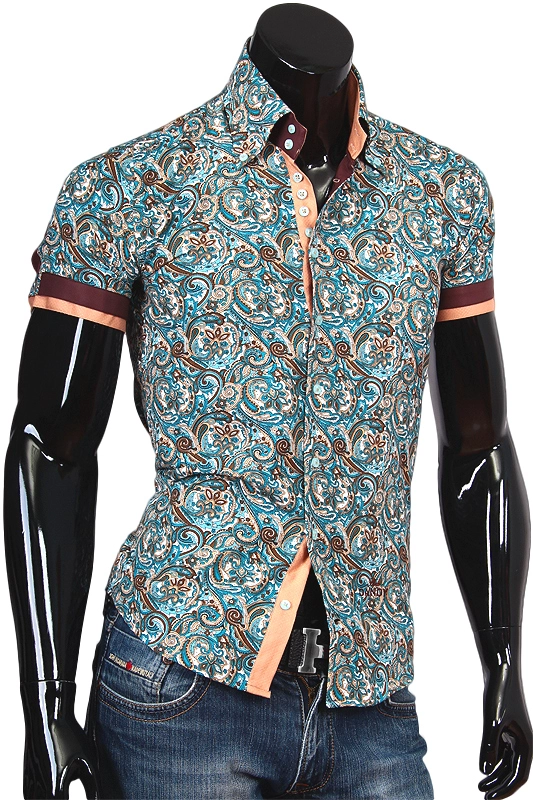 Рубашка Alex Dandy приталенная цвет мультиколор в восточных огурцах купить в Москве недорого