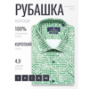 Зеленая приталенная рубашка в клетку с коротким рукавом-4
